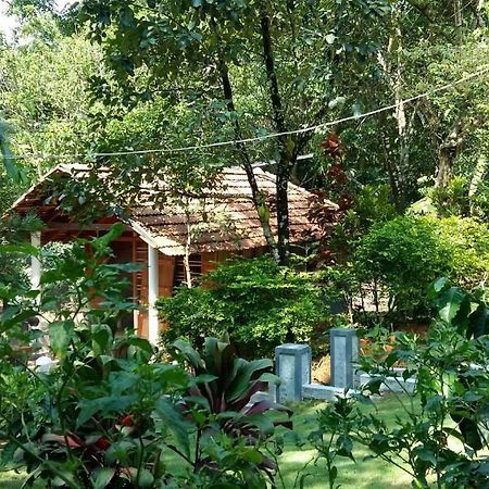 Leisure Vacations Whispering Woods Hotel Madikeri Esterno foto