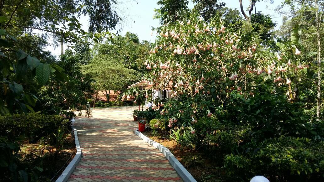 Leisure Vacations Whispering Woods Hotel Madikeri Esterno foto