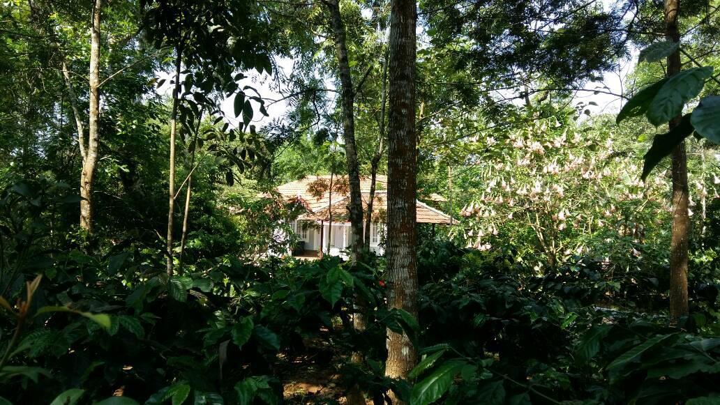 Leisure Vacations Whispering Woods Hotel Madikeri Esterno foto