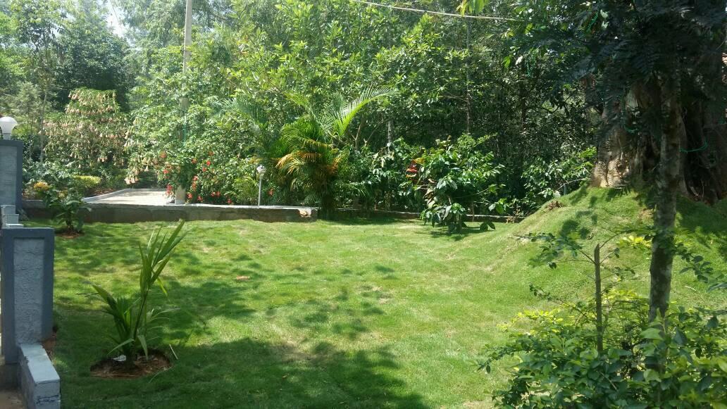 Leisure Vacations Whispering Woods Hotel Madikeri Esterno foto
